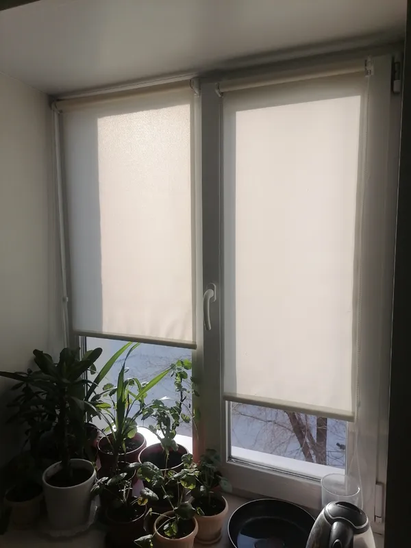 Роллета ШАНТУНГ УЮТ 80*175 Белый