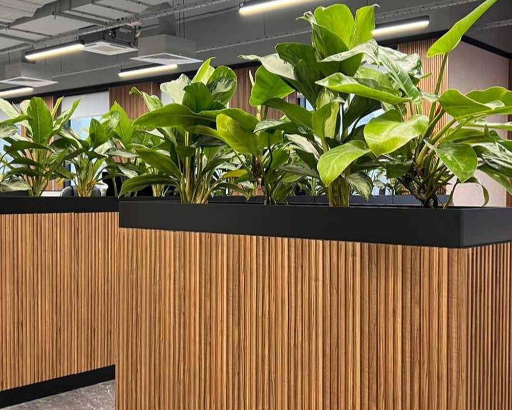 Панель МДФ ACUPAN 61.08.122505.93 зубья 12х122х2760 мм Дуб Слик